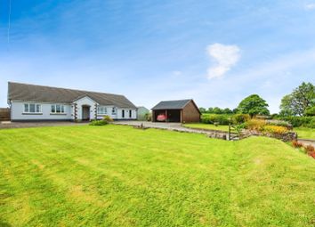 Thumbnail Bungalow for sale in Tavernspite, Whitland, Pembrokeshire