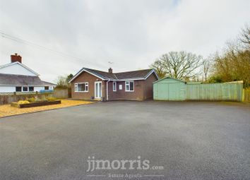 Newcastle Emlyn - Detached bungalow for sale