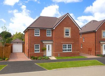 Thumbnail 4 bedroom detached house for sale in "Radleigh Special" at Prospero Drive, Wellingborough