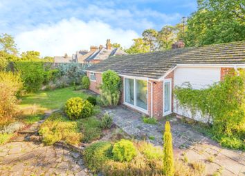 Thumbnail 3 bed bungalow for sale in Chichester Road, Midhurst, West Sussex