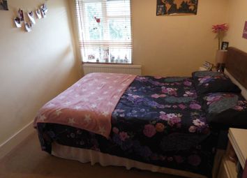 0 Bedroom  for rent