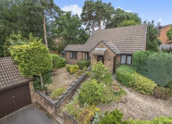 Thumbnail 2 bed detached bungalow for sale in Lightwater, Surrey