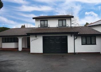 4 Bedroom  for rent