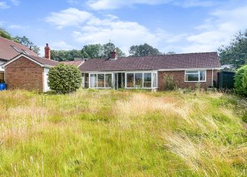 Thumbnail 3 bed detached bungalow for sale in Clay Street, Whiteparish, Salisbury