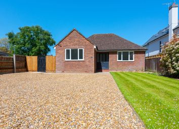 Thumbnail Detached bungalow for sale in Chestnut Avenue, Wokingham