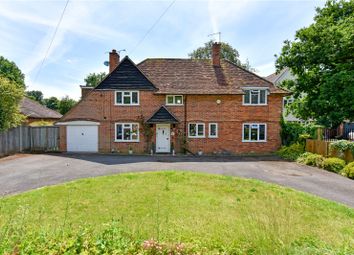 Thumbnail Detached house to rent in Thicket Grove, Maidenhead, Berkshire