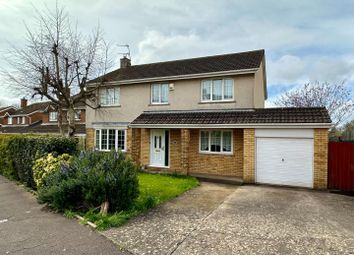 Thumbnail Detached house to rent in Porlock Drive, Sully, Penarth