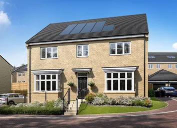Ds14216 [Bh] The Lime X520 Plot 554