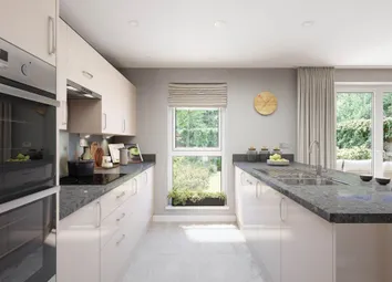 Sleek And Stylish Modern Kitchen