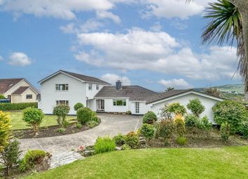 Thumbnail 4 bed detached house for sale in Hill Park, Ballakillowey, Colby, Isle Of Man