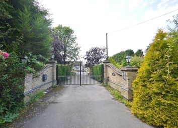 Thumbnail 3 bed bungalow to rent in Chivers Road, Stondon Massey, Essex