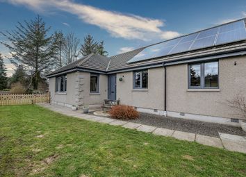 Alford - Bungalow for sale