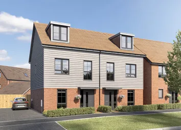 Owlton CGI