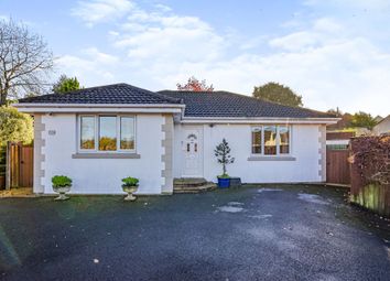 Thumbnail Detached bungalow for sale in King Street, Warminster