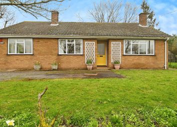 Thumbnail 3 bedroom bungalow for sale in Long Green, Wortham, Diss