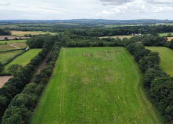 Dji_Fly_20250716_120922_469_1752664235186_Photo_Op