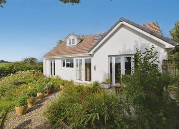 Property listing in Cardigan, Ceredigion