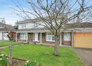 4 Bedroom  for rent