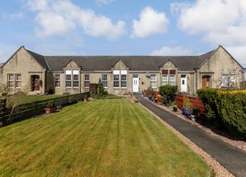 Thumbnail Terraced bungalow for sale in Hartwood Road, West Calder