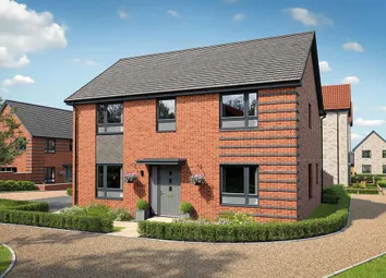 Artist's Impression Of The Wansdale