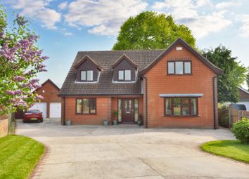 Thumbnail Detached house for sale in Smithfield, North Thoresby, Grimsby