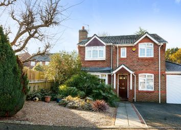 Thumbnail 4 bed detached house for sale in Church Mead, Steyning, West Sussex