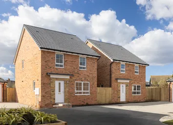 External Shot Of The Chester House Types