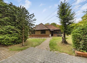 Photo Oct 10 2025, 2 16 16 Pm.Jpg