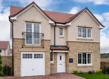 Showhome Photography