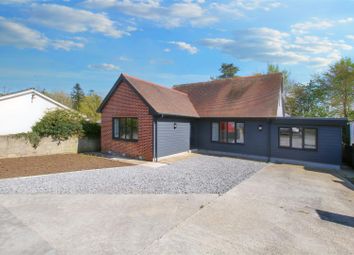 Thumbnail Detached bungalow for sale in Gelliwen, Llechryd, Cardigan