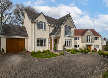 Thumbnail Detached house for sale in Oak Tree Gardens, West Hill, Ottery St. Mary