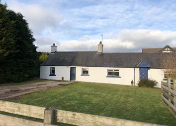 Thumbnail 3 bed cottage for sale in Podge Cottage, Carmyllie, Angus