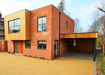 Thumbnail 4 bed property for sale in Paget Road, Ipswich