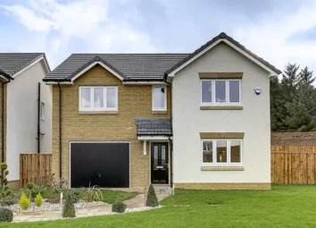 Discover The 4 Bedroom Stewart Home