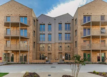 Stylish Modern Homes, Thoughtfully Designed For Contemporary Living