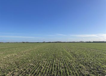 Thumbnail Farm for sale in Redfen Road, Little Thetford, Ely