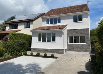 Thumbnail 4 bed detached house to rent in Dawlish Close, Newton, Swansea