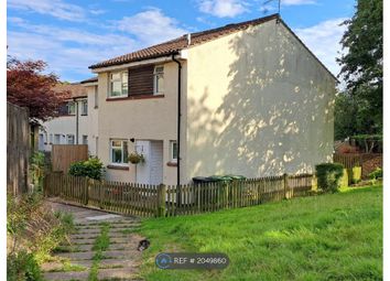 Thumbnail Terraced house to rent in Kent Road, St. Leonards-On-Sea