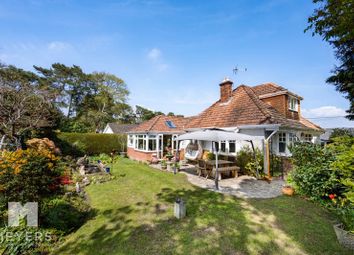 Thumbnail Detached house for sale in Forest Dene, St Ives, Ringwood