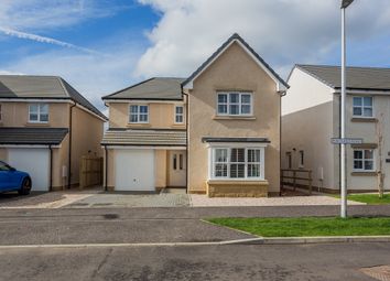 Thumbnail Detached house for sale in 51 Portland Road, Paisley