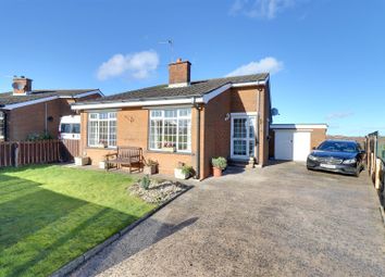 Thumbnail 3 bed bungalow for sale in Abbeydale Gardens, Newtownards