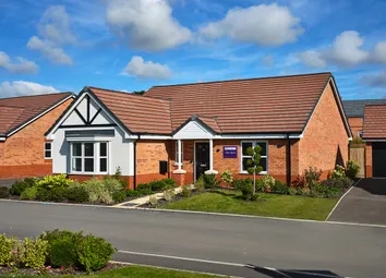 Speak To Our Sales Executive About Our Available Offers!