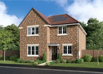 Thumbnail 4 bedroom detached house for sale in "The Briarwood" at Off Durham Lane, Eaglescliffe