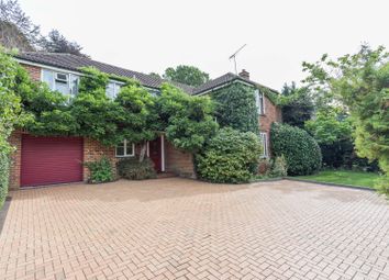 Thumbnail Detached house for sale in Woodend Drive, South Ascot, Berkshire