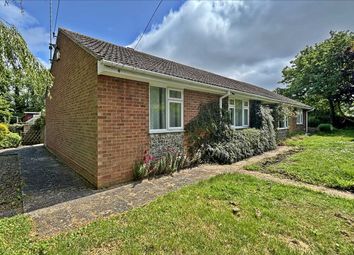 Thumbnail Detached bungalow for sale in Highfield, Ware, Ash