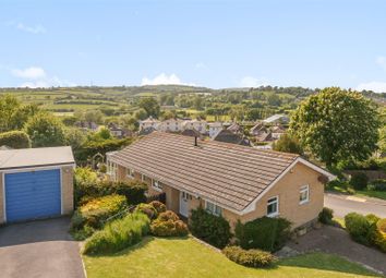 Thumbnail Detached bungalow for sale in North Hill Way, Bridport