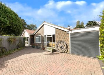 Thumbnail Bungalow for sale in Holly Drive, Toddington, West Sussex