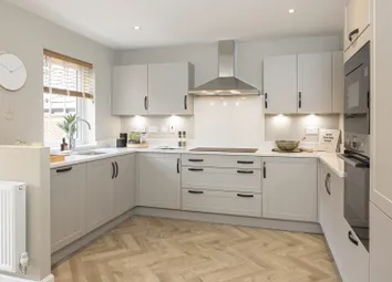 Holden Kitchen