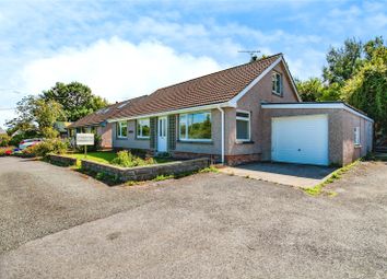 Property listing in Cardigan, Ceredigion