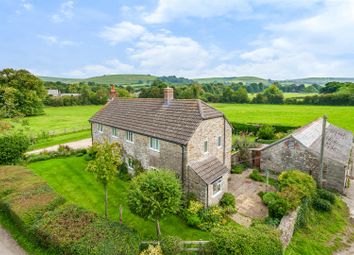 64Df56d04d36B-1023113 (1)E.Jpg